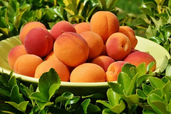 Можно или нет есть абрикосы при похудении, три диеты и разгрузочные дни