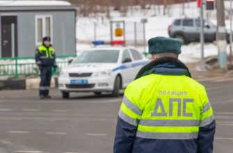 За взятку инспектору житель района Пензы оштрафован на 100 000 рублей